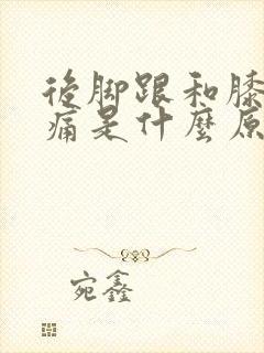 后脚跟和膝盖骨痛是什么原因