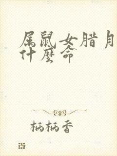 属鼠女腊月生是什么命