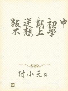 叛逆期初中男孩不想上学封面