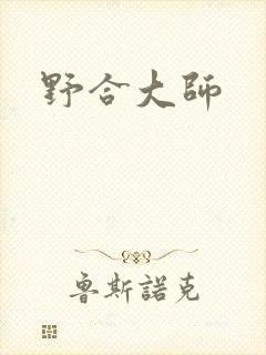 野合大师封面