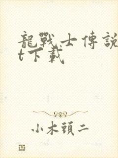 龙战士传说txt下载