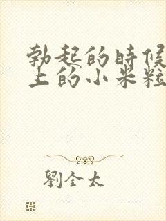 勃起的时候龟头上的小米粒的疙瘩