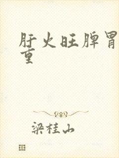 肝火旺脾胃湿气重