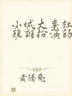 小城大事杜涛母亲谁扮演的