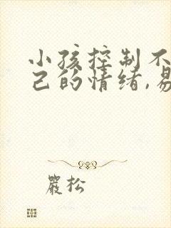 小孩控制不住自己的情绪,易怒,易烦躁封面