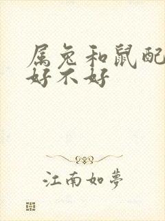 属兔和鼠配婚姻好不好