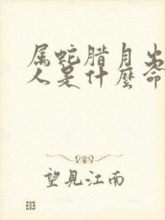 属蛇腊月出生的人是什么命