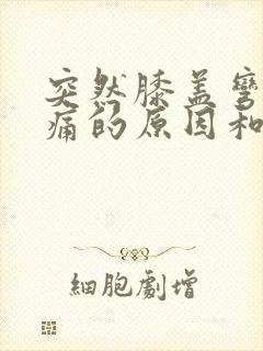 突然膝盖弯曲疼痛的原因和治疗方法封面