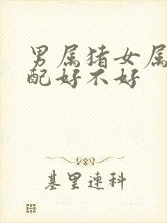 男属猪女属龙婚配好不好