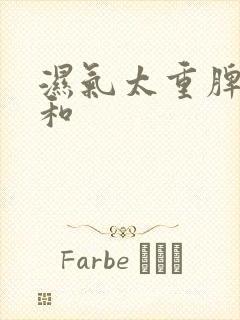 湿气太重脾胃不和封面