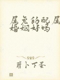 属兔的配属兔的婚姻好吗