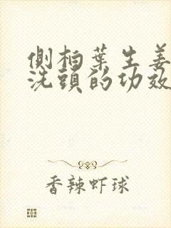 侧柏叶生姜煮水洗头的功效