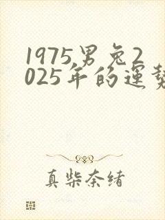 1975男兔2025年的运势及运程