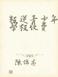 叛逆青少年特训学校收费