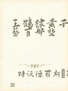 王鹤棣黄子韬综艺有哪些封面