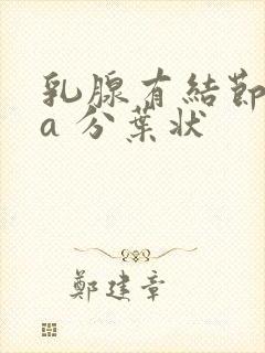 乳腺有结节 4a 分叶状