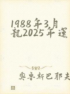 1988年3月龙2025年运势
