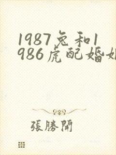 1987兔和1986虎配婚姻好不好