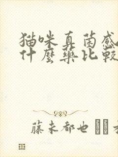 猫咪真菌感染用什么药比较好