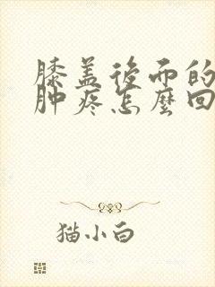 膝盖后面的腿窝肿疼怎么回事封面