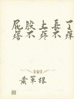 屁股上长了硬疙瘩不疼不痒封面