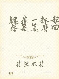 腿痒一抓起小疙瘩是怎么回事