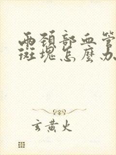 两颈部血管都有斑块怎么办封面