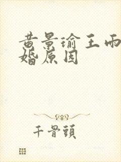 黄景瑜王雨馨离婚原因