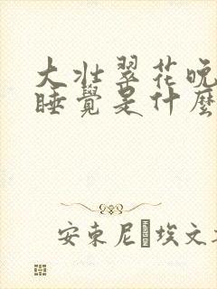 大壮翠花晚上不睡觉是什么电视剧