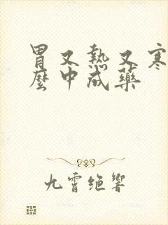 胃又热又寒吃什么中成药