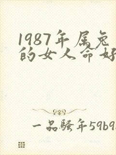 1987年属兔的女人命好不好封面