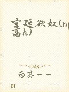 宫廷欲奴(np高h)