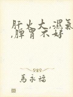 肝火大,湿气重,脾胃不好封面