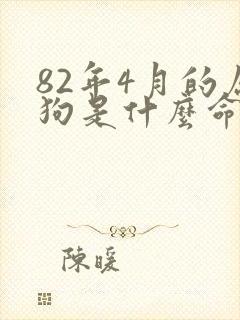 82年4月的属狗是什么命运
