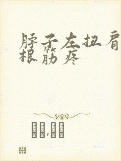 脖子左扭肩膀有根筋疼封面