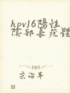 hpv16阳性阴部长疣体