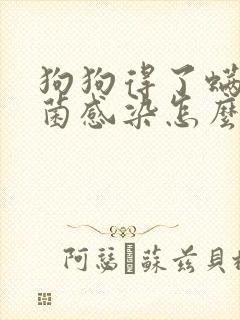 狗狗得了螨虫真菌感染怎么办