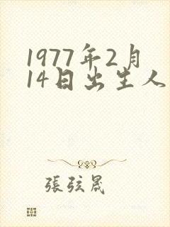 1977年2月14日出生人的性格和命运