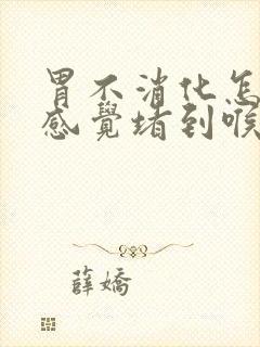 胃不消化怎么办感觉堵到喉咙里了