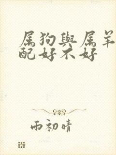 属狗与属羊的婚配好不好