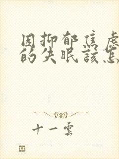 因抑郁焦虑导致的失眠该怎么治封面