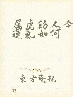 属虎的人今年的运气如何