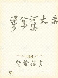 湄公河大案总共多少集封面