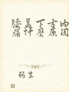 膝盖下方内侧疼痛什么原因