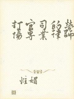 打官司的劳动工伤专业律师封面