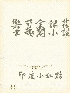 乐可金银花免费笔趣阁小说