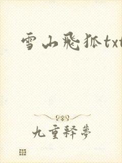 雪山飞狐txt