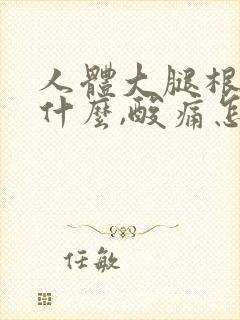 人体大腿根部叫什么,酸痛怎么治疗