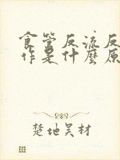 食管反流反复发作是什么原因