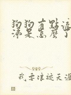 狗狗有点流清鼻涕是怎么了